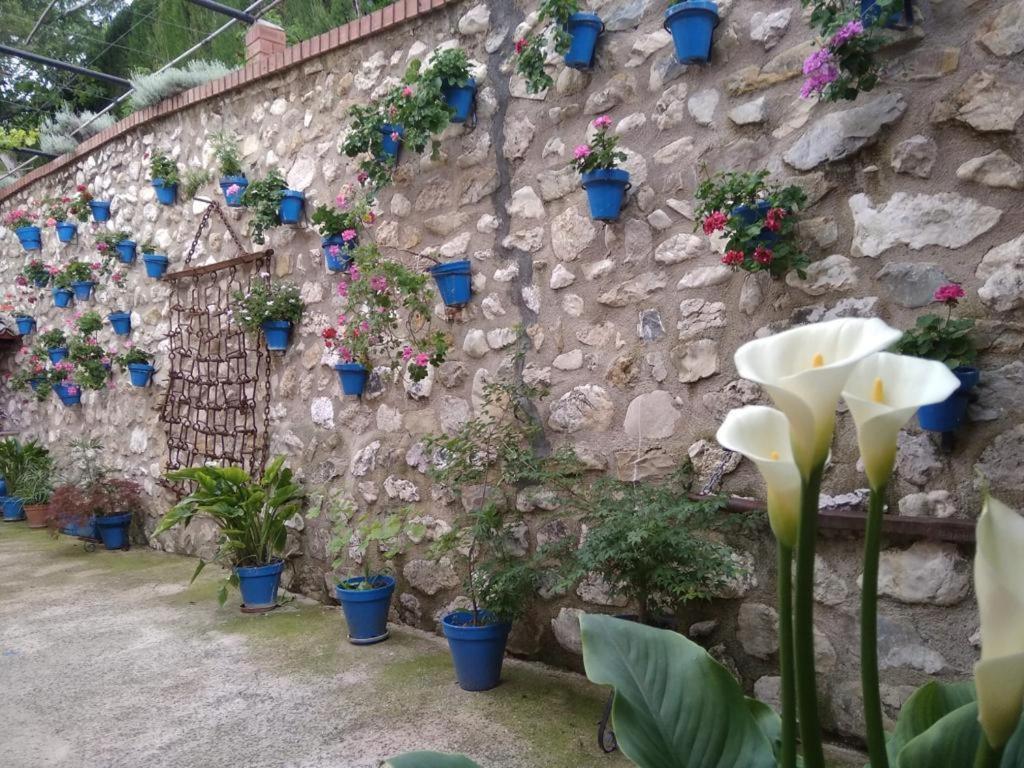 Cortijo De Las Flores Cazorla Ла-Іруела Екстер'єр фото